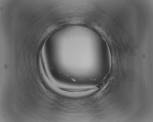 X0000067380201200604211616