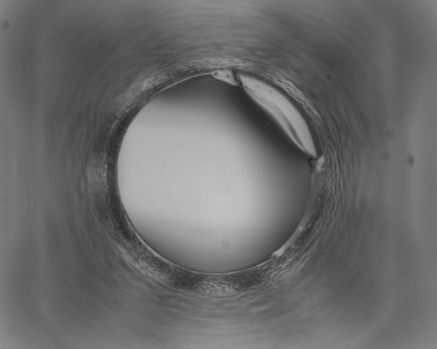 X0000067380207200604211616