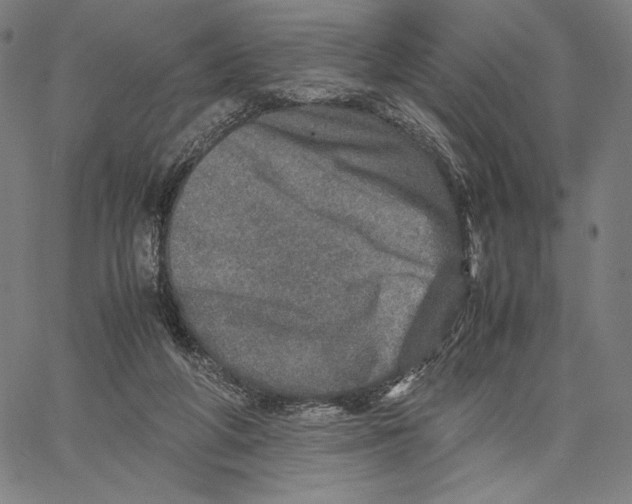 X0000067380210200604211616