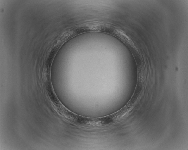 X0000067380213200604211616