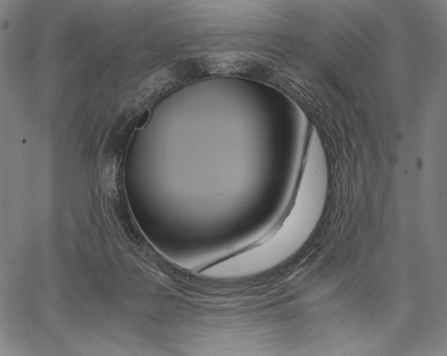 X0000067380219200604211616