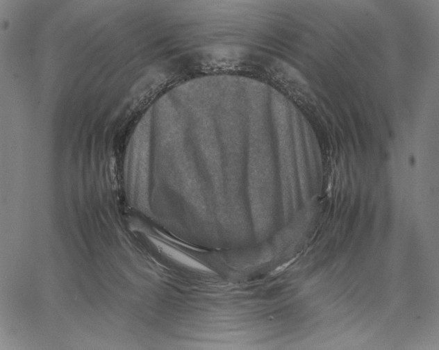 X0000067380224200604211616