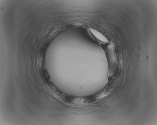 X0000067380227200604211616