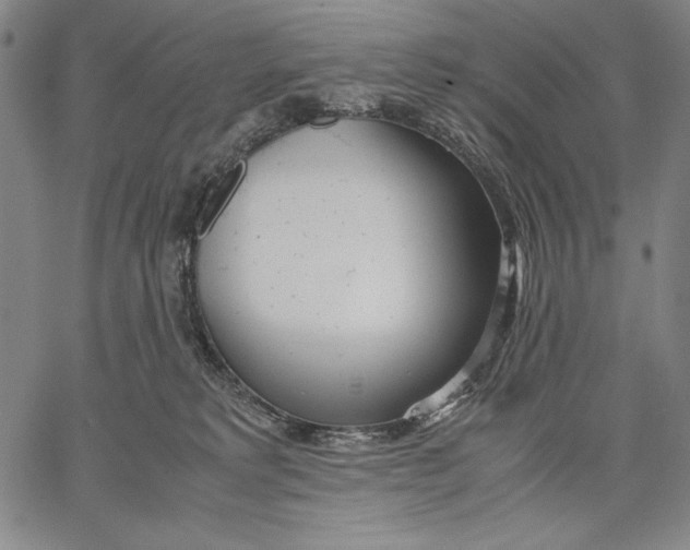 X0000067380229200604211616