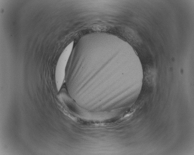 X0000067380233200604211616