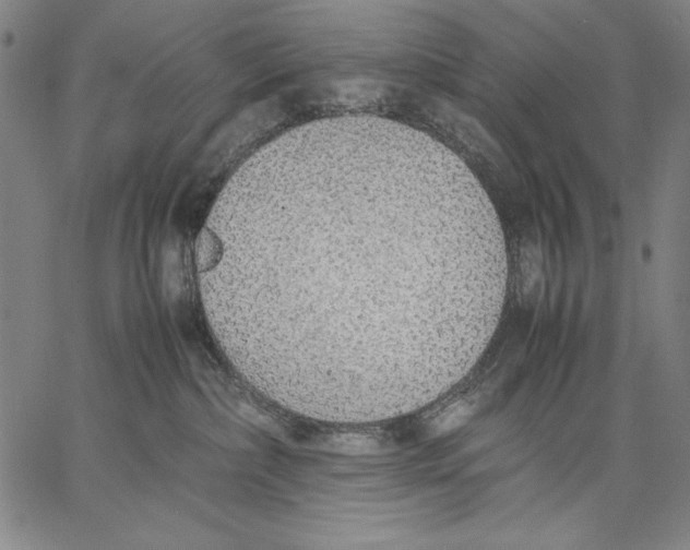 X0000067380236200604211616