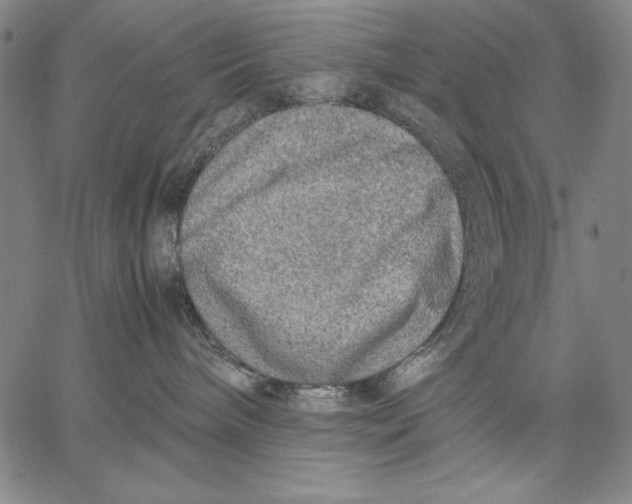 X0000067380240200604211616