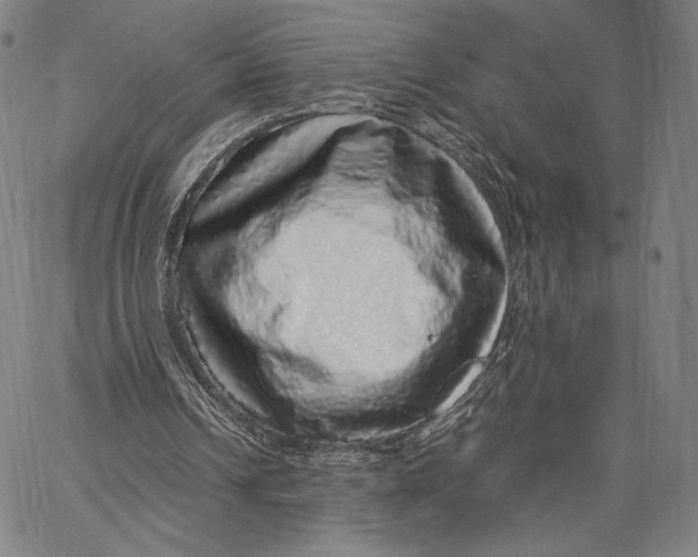 X0000067380242200604211615