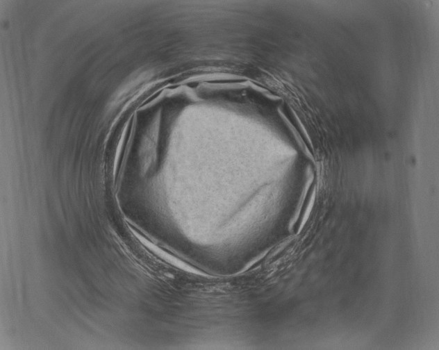 X0000067380243200604211615