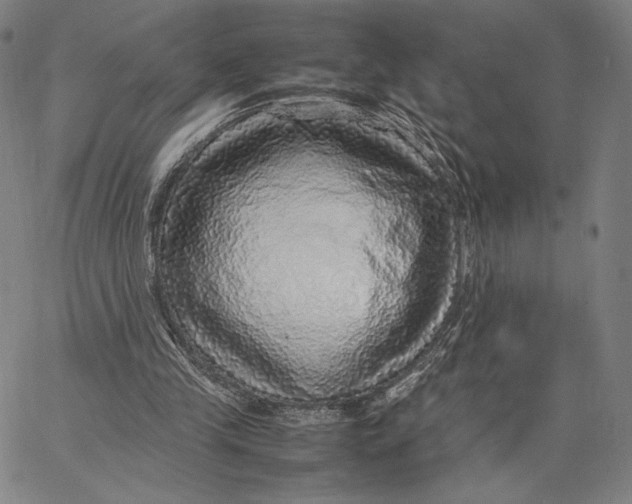 X0000067380245200604211615