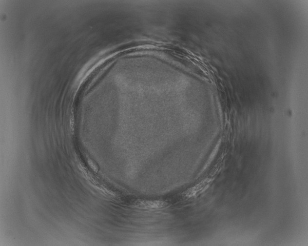 X0000067380247200604211615