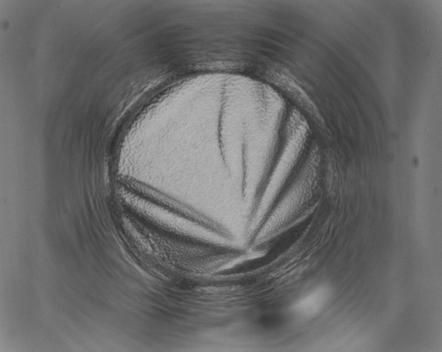 X0000067380251200604211615
