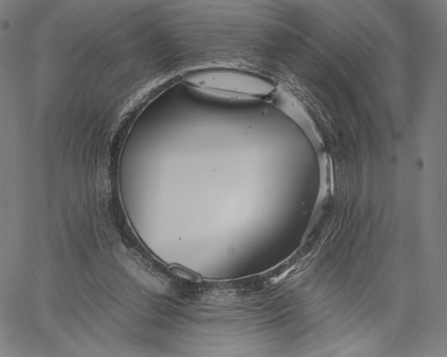 X0000067380252200604211615