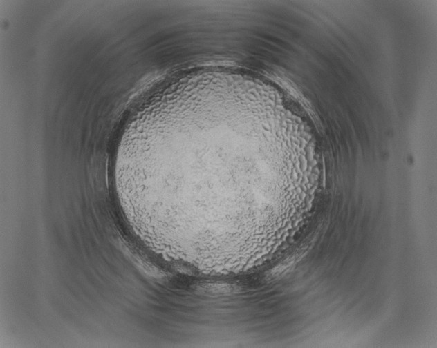 X0000067380253200604211615