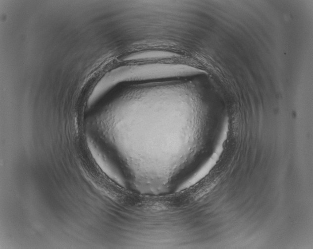 X0000067380254200604211615