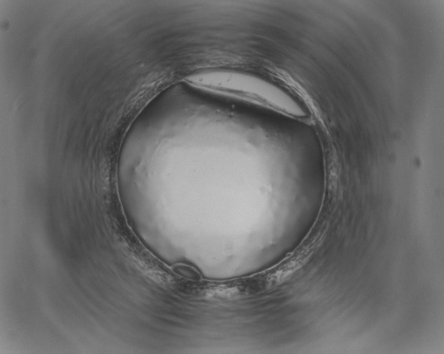 X0000067380257200604211615