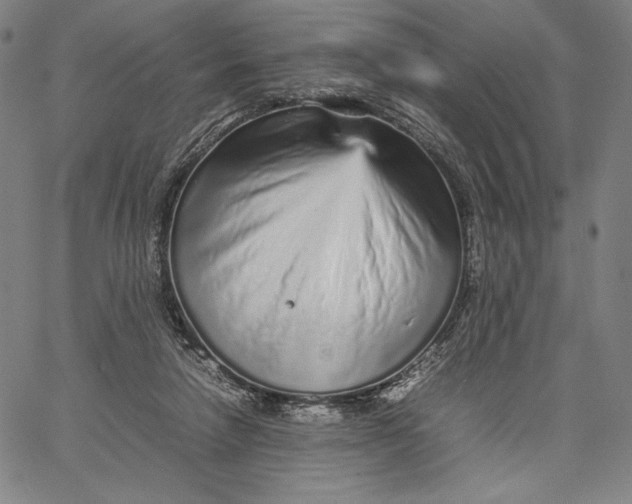 X0000067380258200604211615