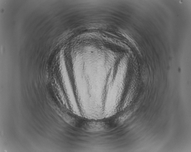 X0000067380261200604211615