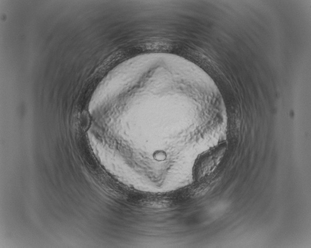 X0000067380263200604211615