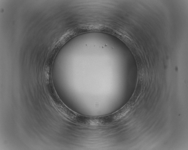 X0000067380264200604211615