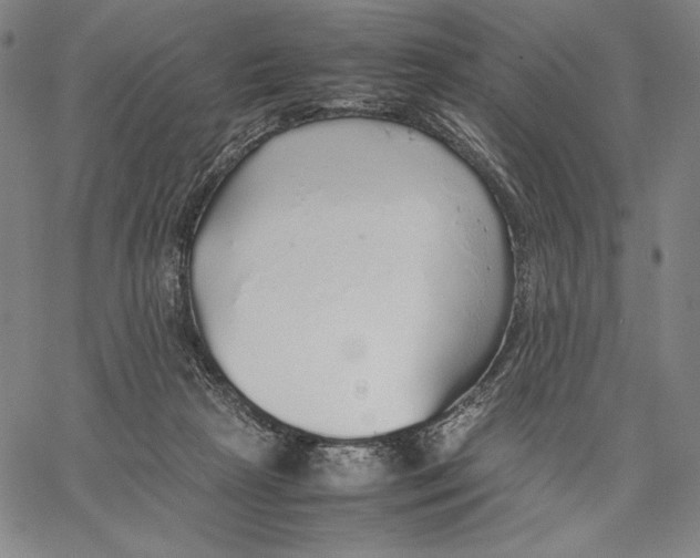 X0000067380265200604211615