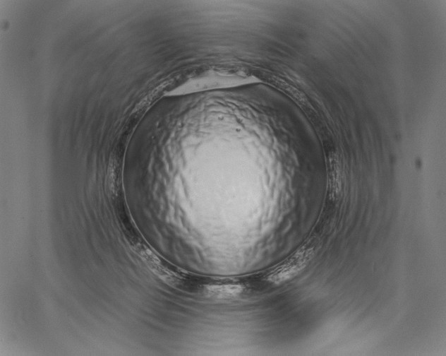 X0000067380266200604211615