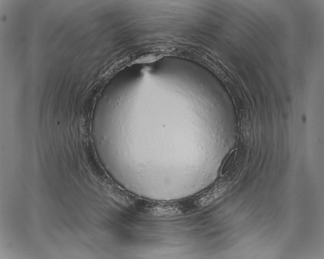 X0000067380270200604211615