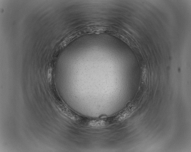 X0000067380271200604211615