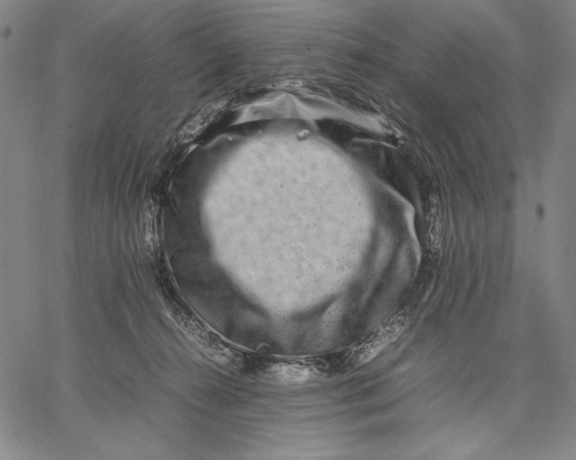 X0000067380272200604211615