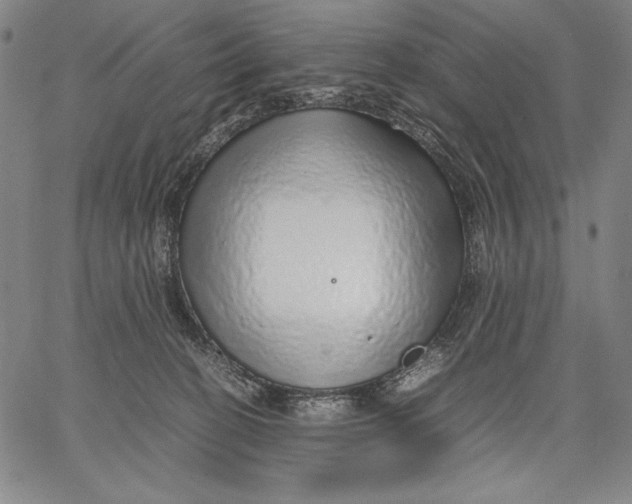 X0000067380274200604211615