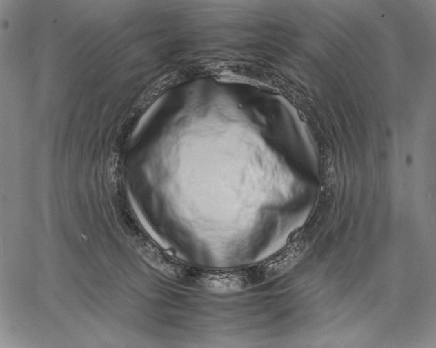 X0000067380275200604211615