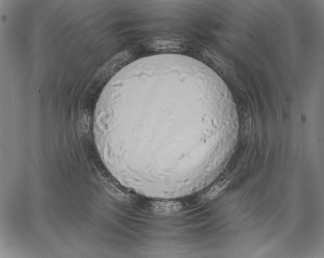 X0000067380281200604211616