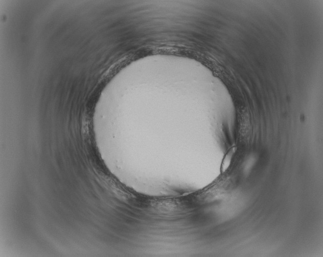 X0000067380282200604211616