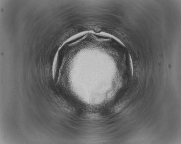 X0000067380283200604211616