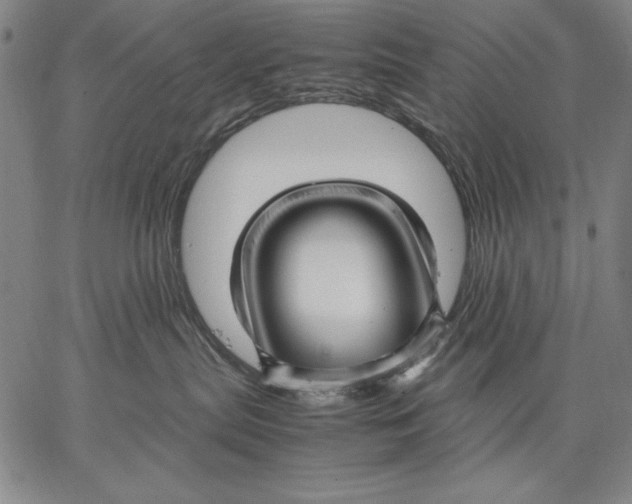 X0000067380287200604211616
