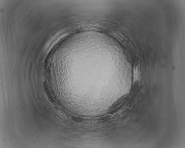 X0000067380291200604211615