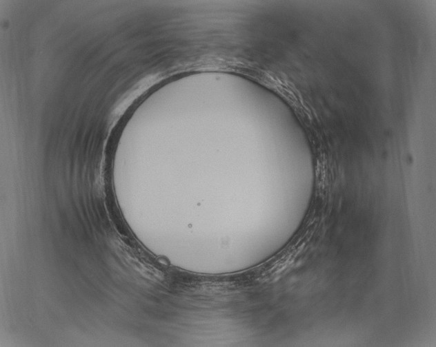 X0000067380292200604211615