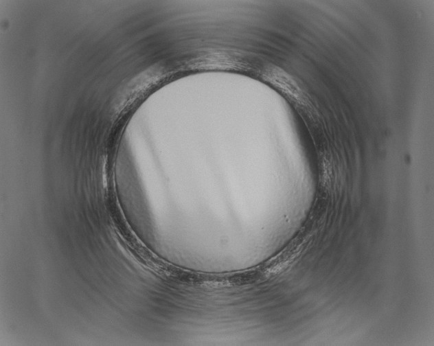 X0000067380302200604211615