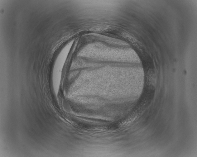 X0000067380303200604211615