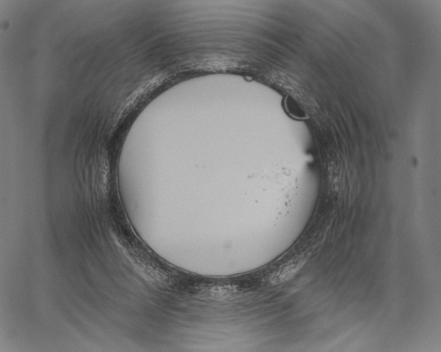 X0000067380304200604211614