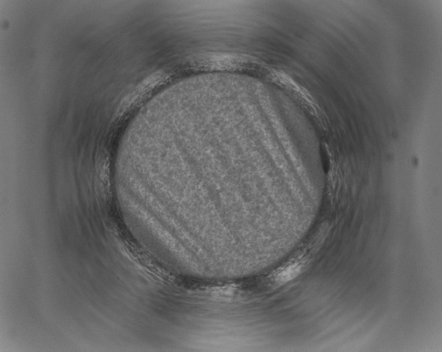 X0000067380306200604211614