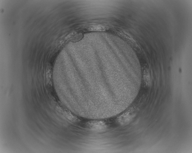 X0000067380322200604211614