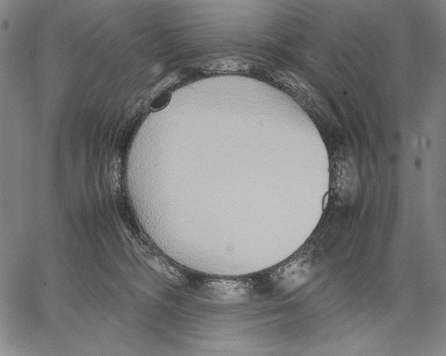 X0000067380326200604211614