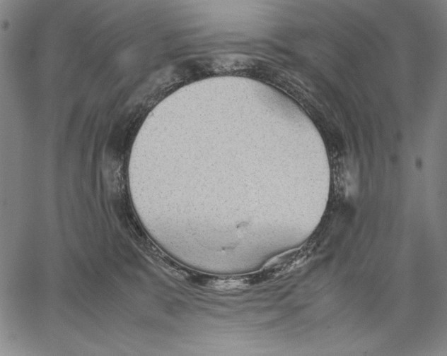 X0000067380327200604211614