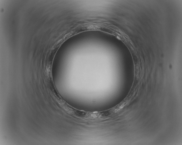 X0000067380329200604211614