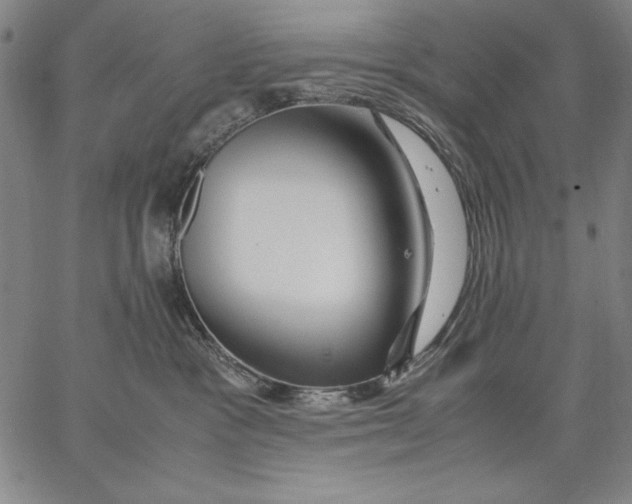 X0000067380333200604211614