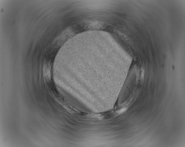 X0000067380334200604211614