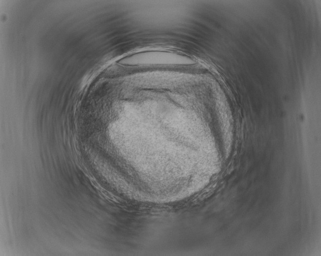 X0000067380337200604211613