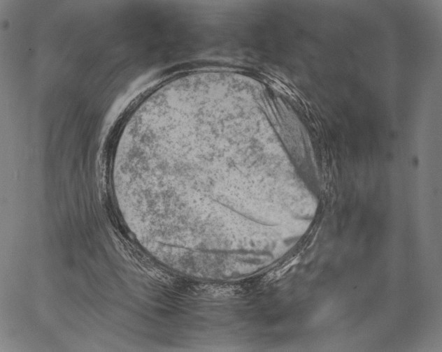 X0000067380343200604211613