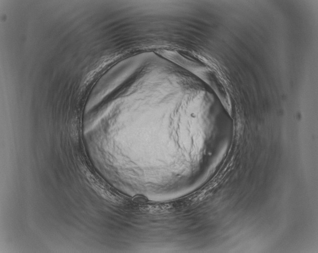 X0000067380345200604211613